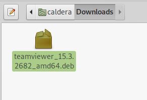 TeamViewer_Debian_10_-_1.jpeg
