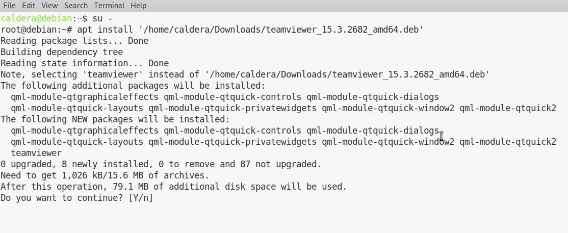 TeamViewer_Debian_10_-_4.jpeg