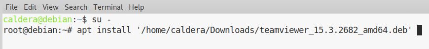TeamViewer_Debian_10_-_3.jpeg