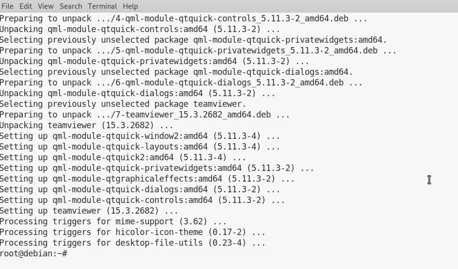 TeamViewer_Debian_10_-_5.jpeg