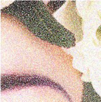 DTG_RIP_-_color_reproduction.png