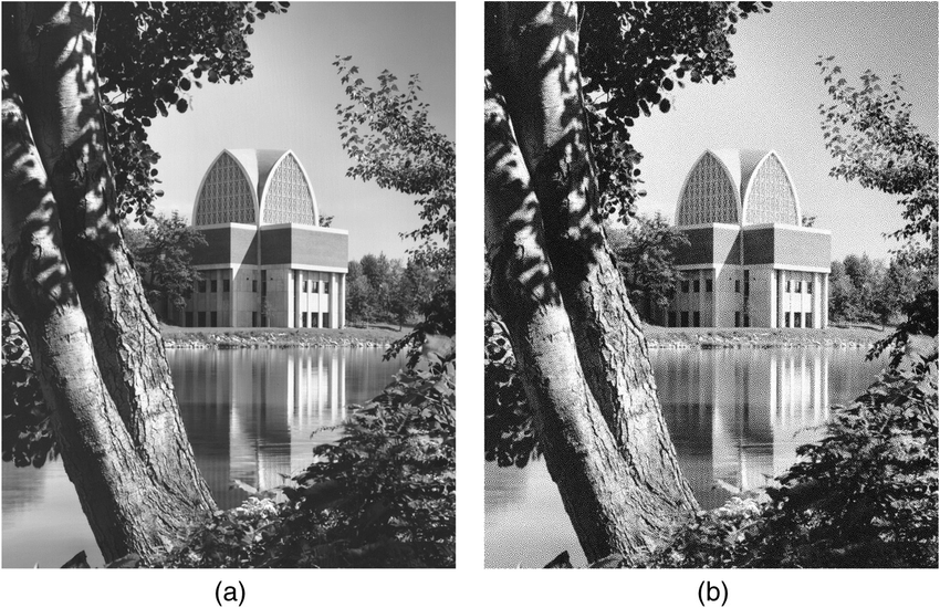 a-Continuous-tone-image-and-b-binary-image-resulting-from-halftoning-the-image-in-a.png