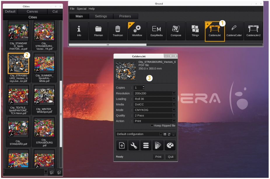 How to open Print Module.png