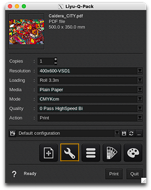 Liyu Q Pack - printer settings.png