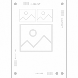Orientation arrows_250px.gif