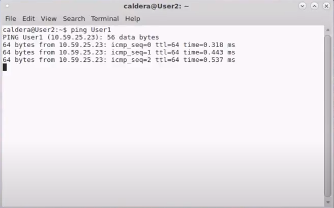 Terminal Example for Connection Test.png