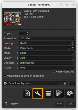 Canon IPFPro X600 and 5X6 - Printer settings.png