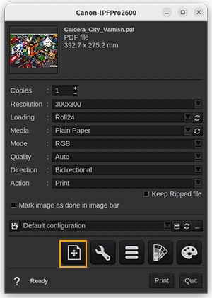 Canon IPFPro X600 and 5X6 - Page setup.png