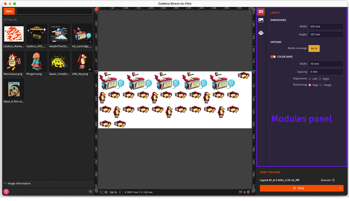 Caldera DTFilm RIP - 1st use - Settings and destination.png