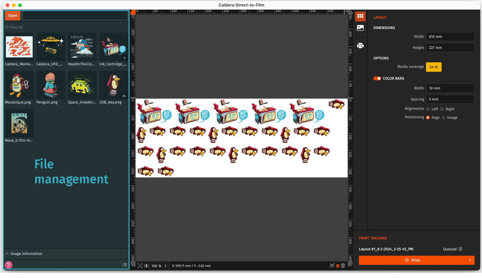 Caldera DTFilm RIP - 1st use - File manager.png