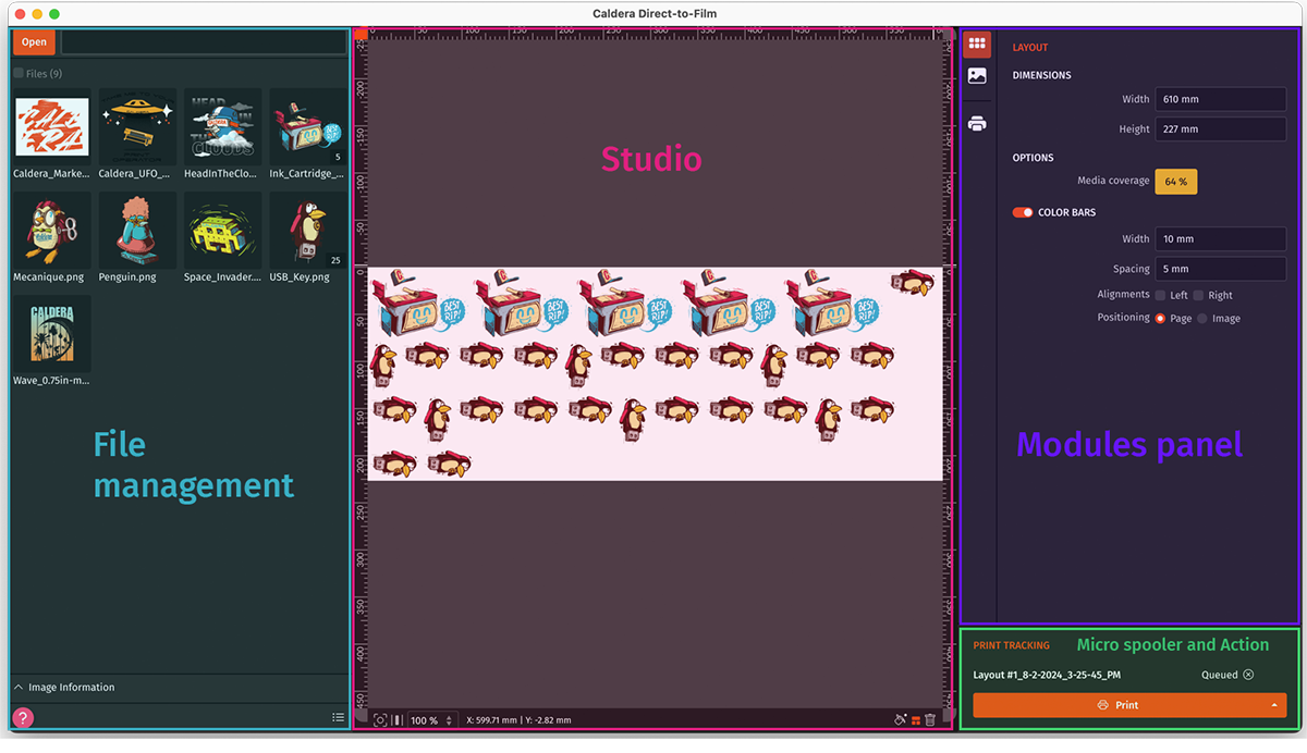 Caldera DTFilm RIP - 1st use - Overview.png