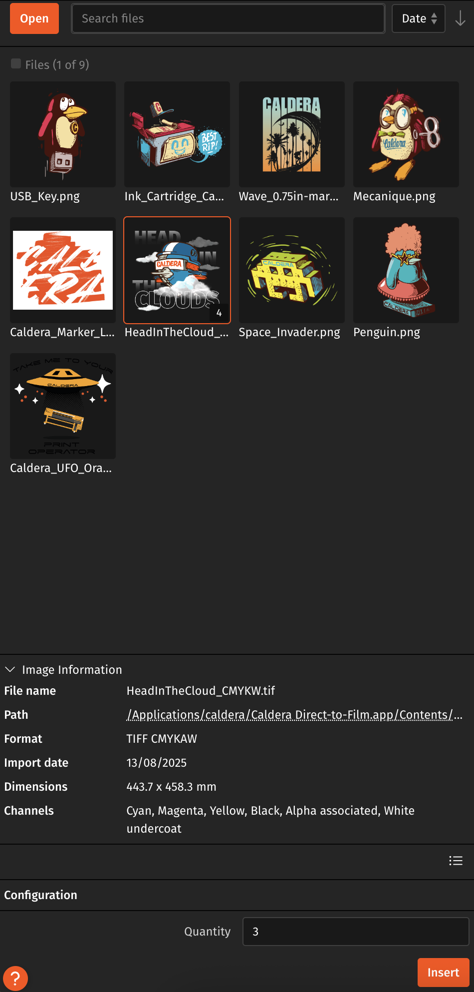 Caldera DTFilm V1 - FileManager.png