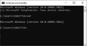 Windows_Comand prompt_300px.png