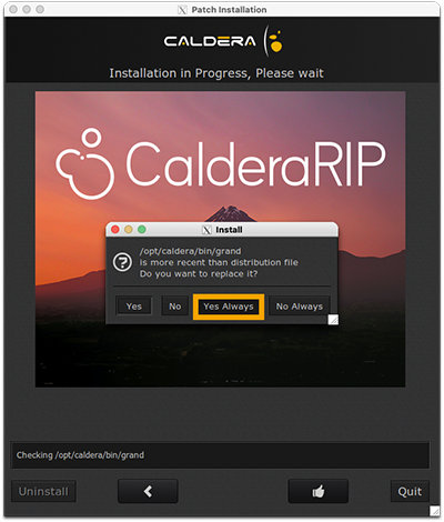driver install, wizard 5.png