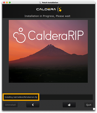 driver install, wizard 6.png