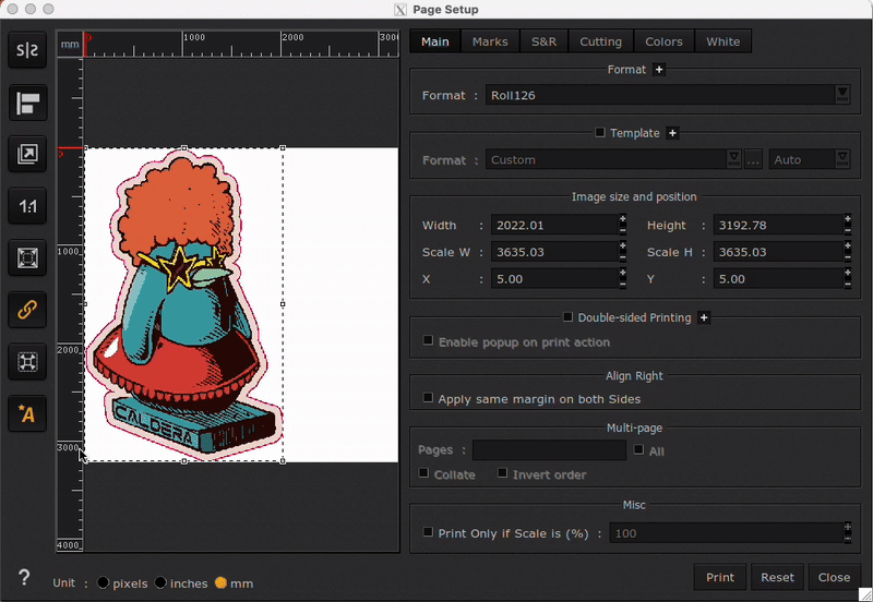 HP_Latex_R530, page setup.png