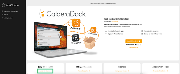 WorkSpace - Main dashboard2 - drivers.png