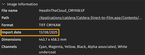Caldera DTFilm V1.4 - FileManager detail.png