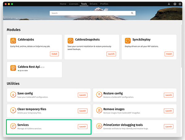 CalderaDock V4, tools tab, services launch.png