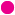 2_Magenta.png