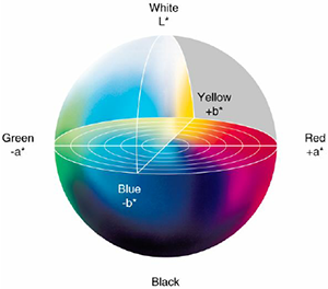 CIELAB_color_space_front_view.png
