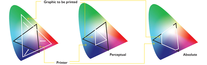 perceptual-vs-absolute-rendering-intents_1621-2.jpeg
